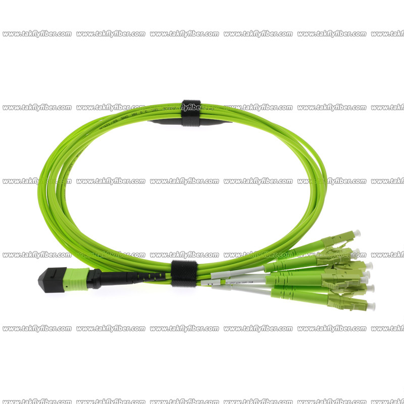 MPO - 8xLC Fiber Patch Cord Multimode OM5 8F 3.0mm LSZH MPO Fiber Cable