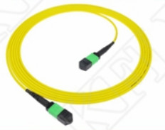 2m 7ft MTP Patch Cord Plenum OFNP MPO Patch Cord Kabel 3.0mm MTP 12F APC Wanita Elite