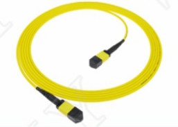 MTP-12 APC Wanita ke MTP-12 APC Wanita SingleMode OS2 Plenum OFNP Tipe A MPO Patch Cord 5m 16ft