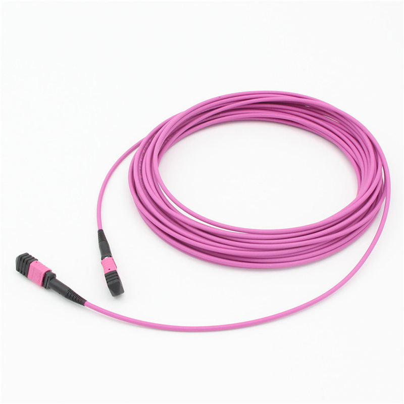 Elite Multimode OM4 50/125, Plenum OFNP Tipe B MPO patch cord 1m 3ft MTP-12 PC Wanita ke MTP-12 PC Wanita