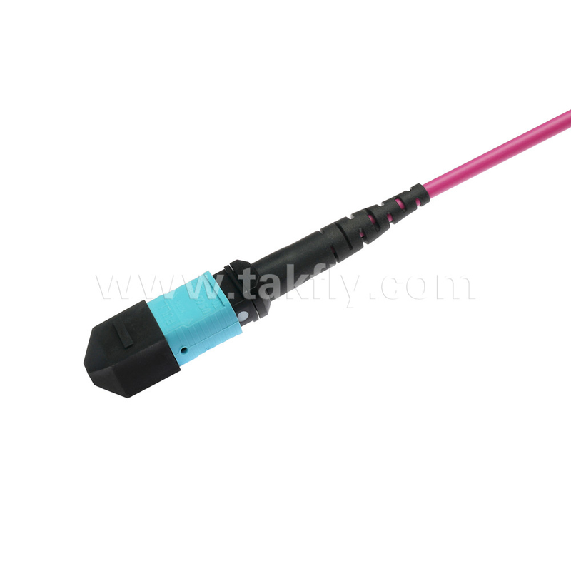 Elite Multimode OM4 50/125, Plenum OFNP Tipe B MPO patch cord 3m 10ft MTP-12 PC Wanita ke MTP-12 PC Wanita