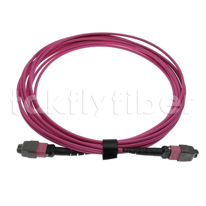 CPR B2ca Multimode OM4 MPO ke MPO Fiber Trunk Cable, MTP-12 OM4 Wanita ke Wanita, Tipe A, 5m