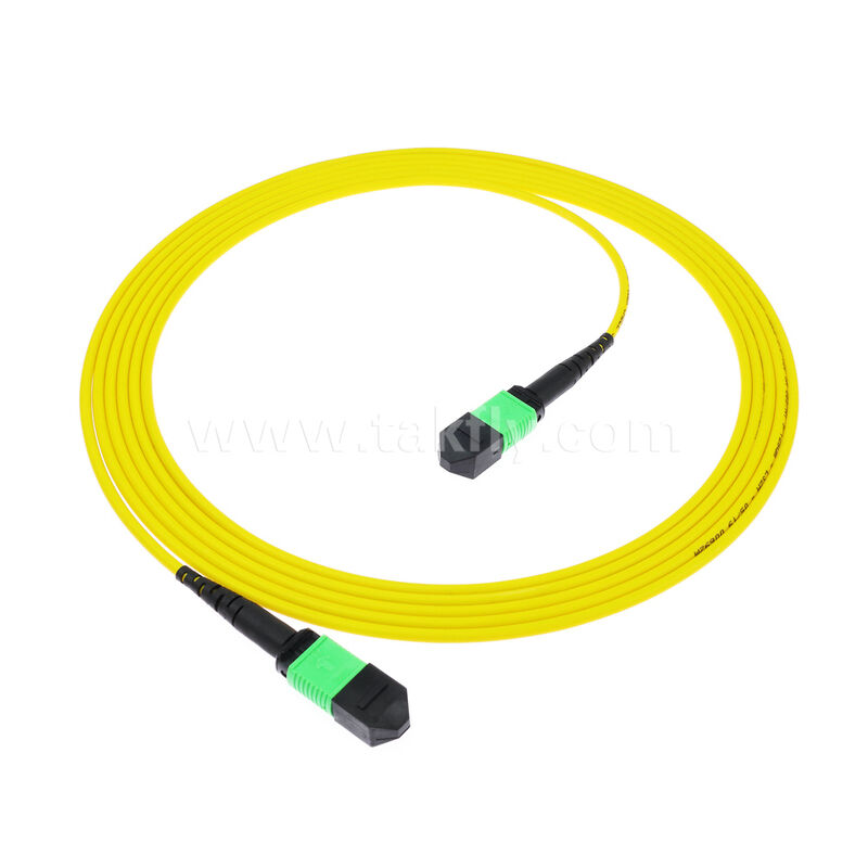 8F 12F 16F 24F MPO MTP Pria Wanita SM OS2 G652D G657A1 G657A2 Patchcord Fiber Optik / Kabel Patch Serat Optik / Kabel Breakout Optik / Kabel Trunk Serat Optik untuk Pusat Data Kepadatan Tinggi