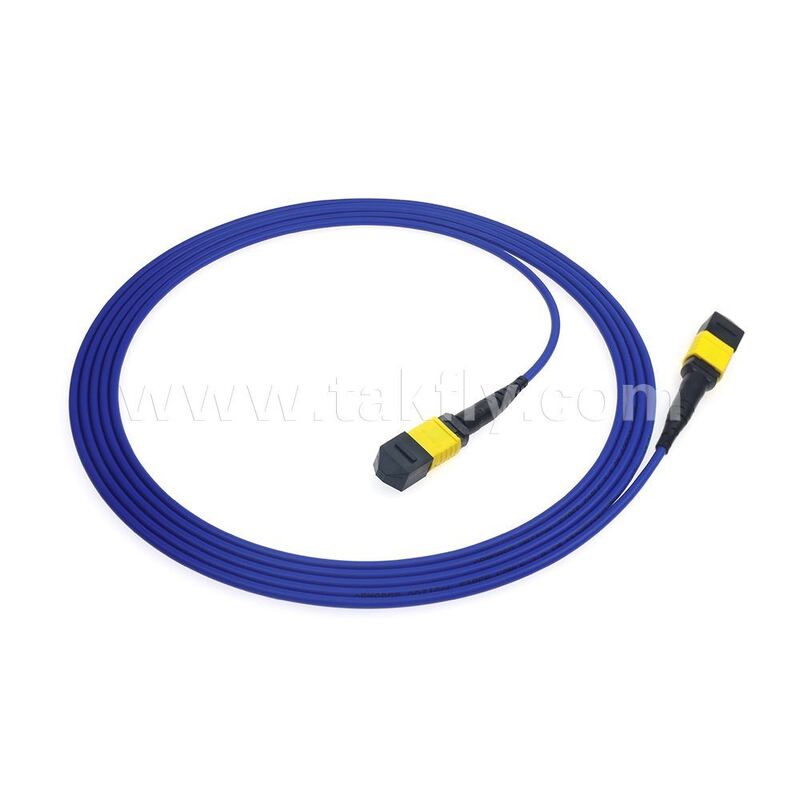 Armored Armored 8F 12F 16F 24F MPO MTP Male Female Fiber Optical Breakout Cable Fiber Optic Patchcord/Optical Fiber Patch Cable/Optical Fiber Trunk Cable/Optical Fiber Fanout Cable
