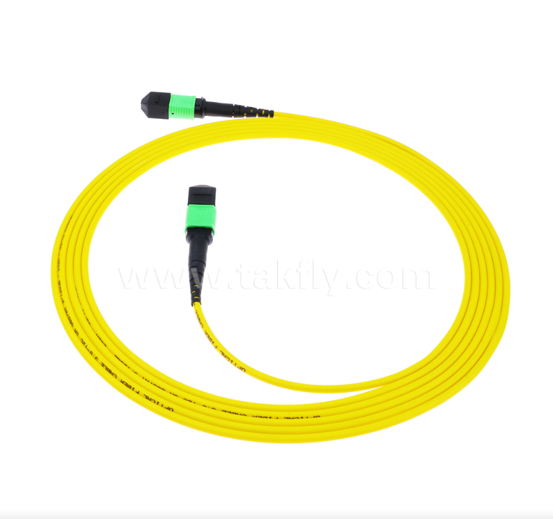 MPO/MTP Single-mode (SM) Patch Cord – 4C to 72C, High-Density Multi-fiber Trunk for 40G/100G/400G Networks