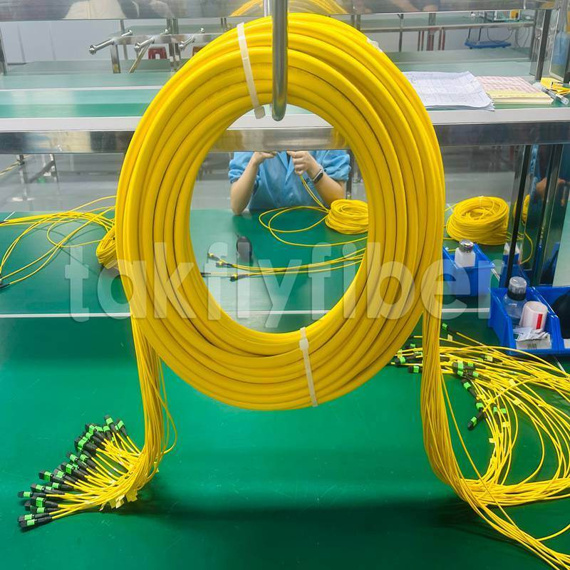 Takfly MPO/MTP Patch Cord 8/12/24 Inti hingga 576 Inti Kerugian Rendah 500 Siklus Pasangan IEC & TIA Selaras
