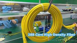 Kabel Patch MPO/MTP 288F